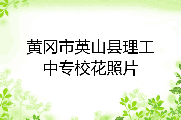 黄冈市英山县理工中专校花照片