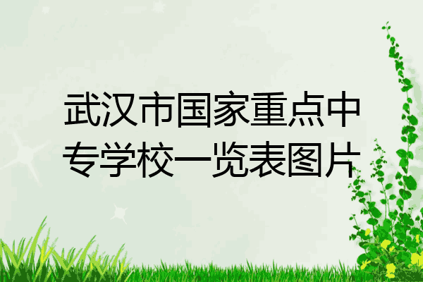 武汉市国家重点中专学校一览表图片