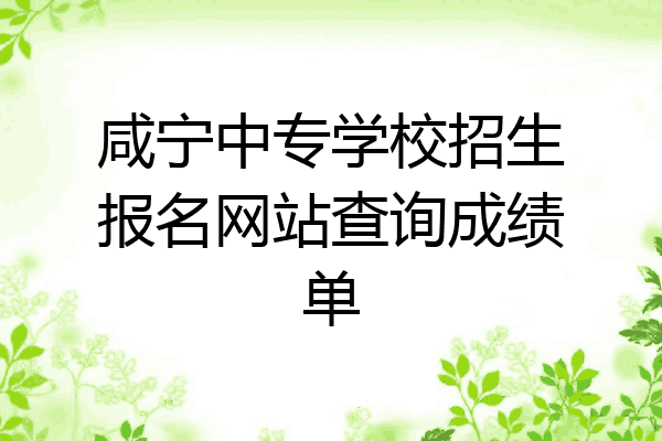 咸宁中专学校招生报名网站查询成绩单
