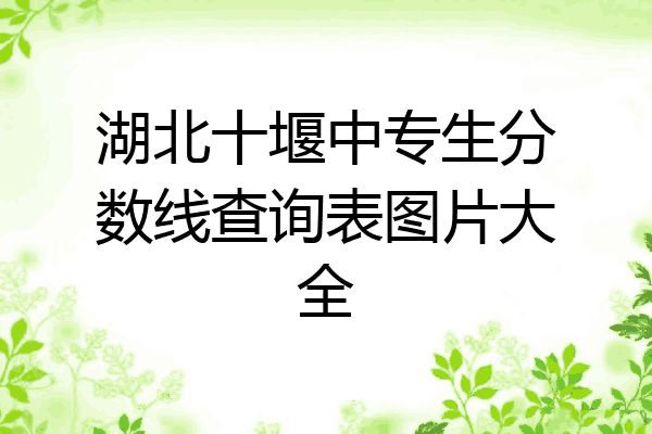 湖北十堰中专生分数线查询表图片大全