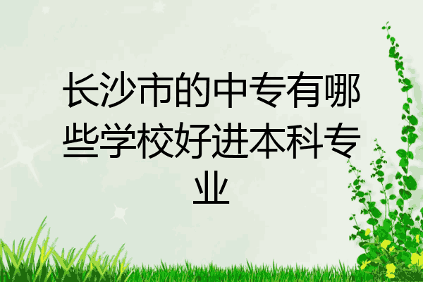长沙市的中专有哪些学校好进本科专业