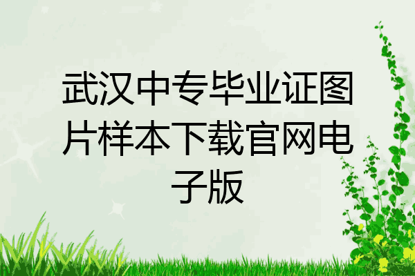武汉中专毕业证图片样本下载官网电子版