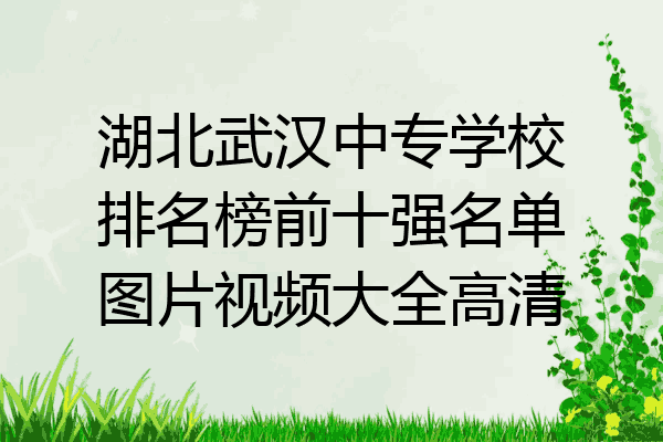 湖北武汉中专学校排名榜前十强名单图片视频大全高清