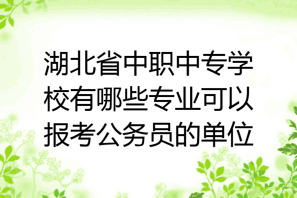 湖北省中职中专学校有哪些专业可以报考公务员的单位