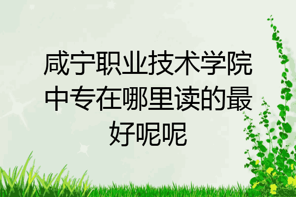 咸宁职业技术学院中专在哪里读的最好呢呢