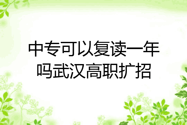 中专可以复读一年吗武汉高职扩招