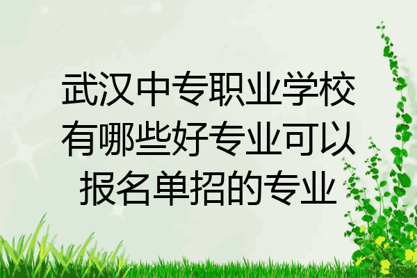 武汉中专职业学校有哪些好专业可以报名单招的专业