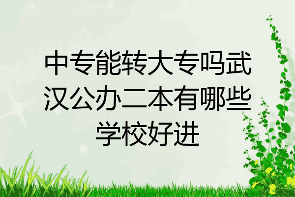 中专能转大专吗武汉公办二本有哪些学校好进