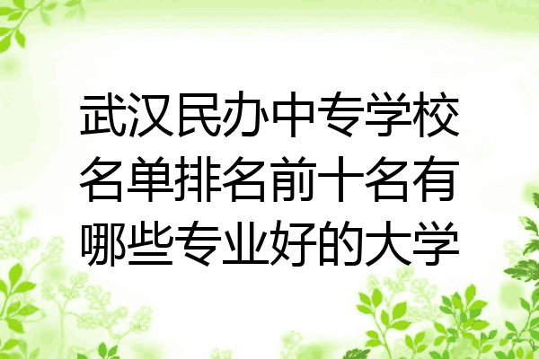 武汉民办中专学校名单排名前十名有哪些专业好的大学