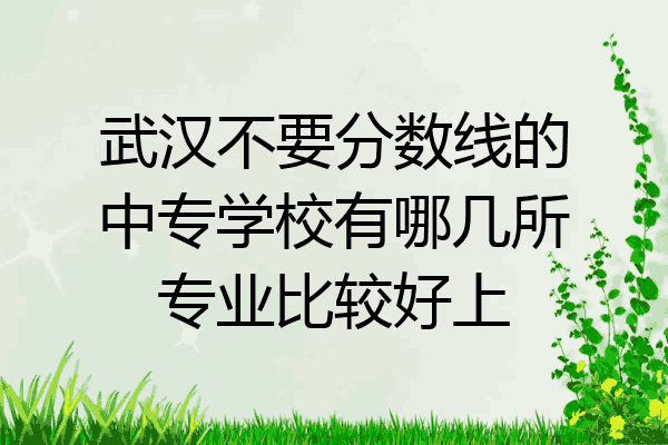 武汉不要分数线的中专学校有哪几所专业比较好上