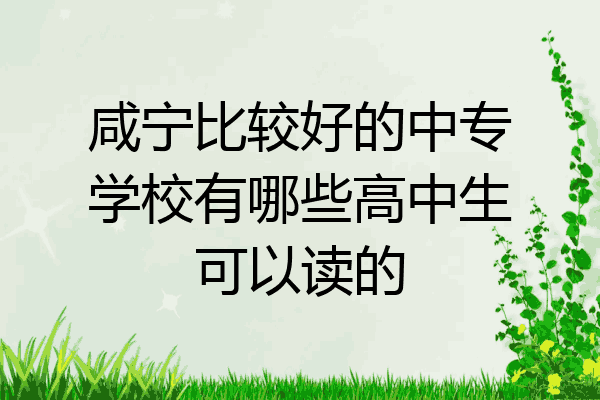 咸宁比较好的中专学校有哪些高中生可以读的