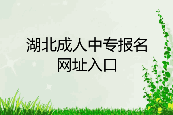 湖北成人中专报名网址入口