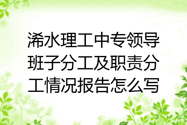 浠水理工中专领导班子分工及职责分工情况报告怎么写