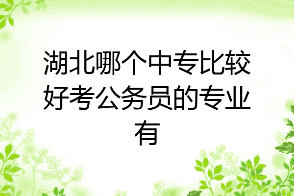 湖北哪个中专比较好考公务员的专业有
