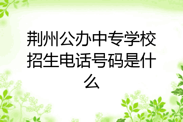 荆州公办中专学校招生电话号码是什么