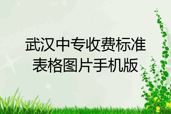 武汉中专收费标准表格图片手机版