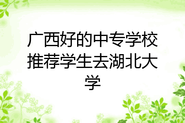 广西好的中专学校推荐学生去湖北大学