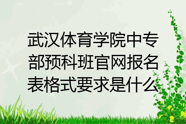 武汉体育学院中专部预科班官网报名表格式要求是什么
