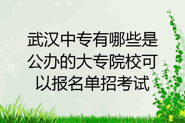武汉中专有哪些是公办的大专院校可以报名单招考试