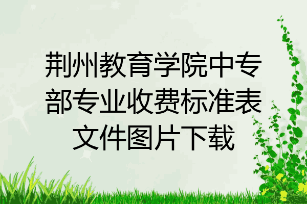 荆州教育学院中专部专业收费标准表文件图片下载