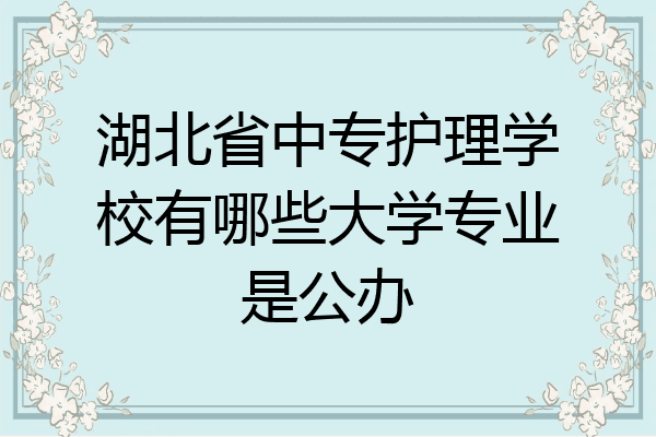 湖北省中专护理学校有哪些大学专业是公办
