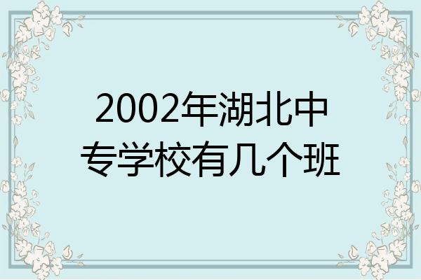 2002年湖北中专学校有几个班