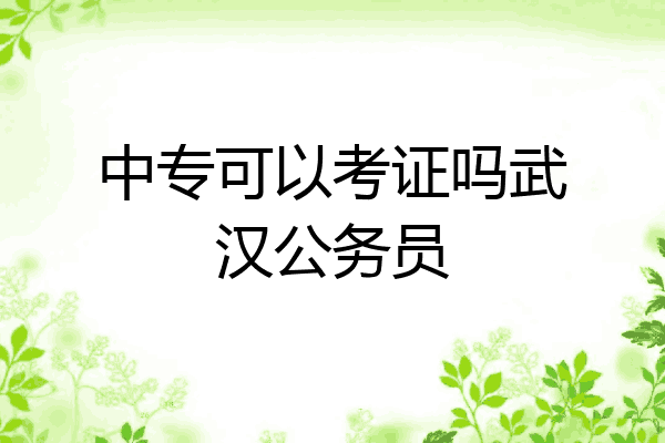中专可以考证吗武汉公务员