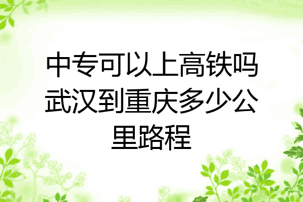 中专可以上高铁吗武汉到重庆多少公里路程