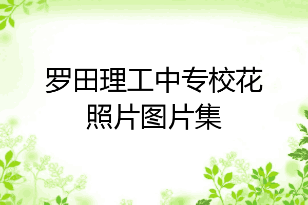 罗田理工中专校花照片图片集