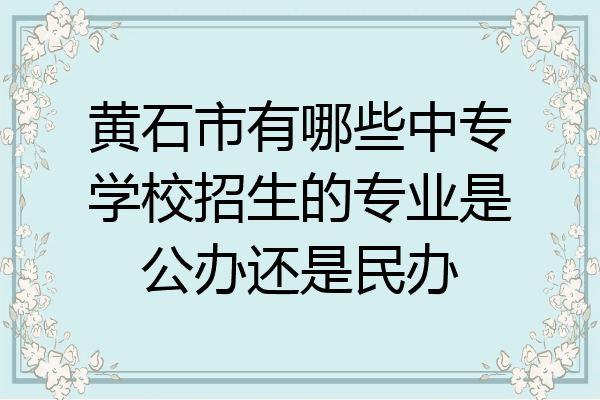 黄石市有哪些中专学校招生的专业是公办还是民办