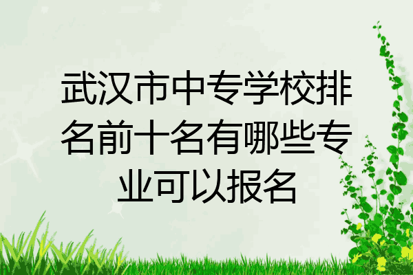 武汉市中专学校排名前十名有哪些专业可以报名