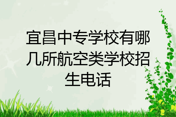 宜昌中专学校有哪几所航空类学校招生电话