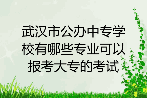 武汉市公办中专学校有哪些专业可以报考大专的考试