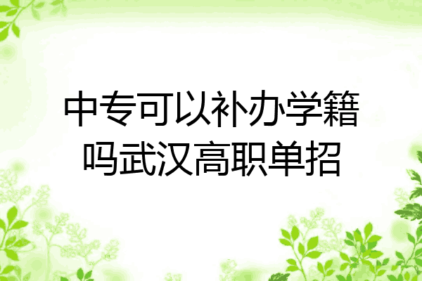 中专可以补办学籍吗武汉高职单招