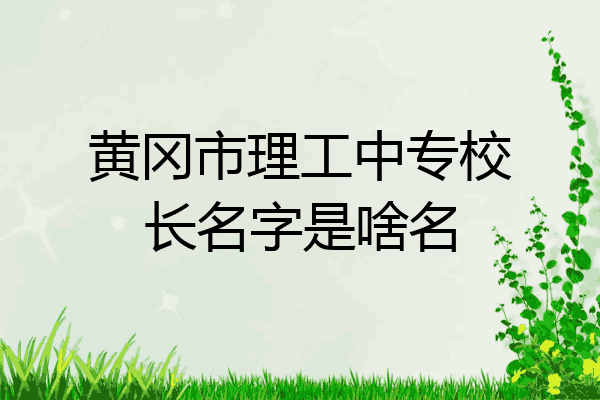 黄冈市理工中专校长名字是啥名