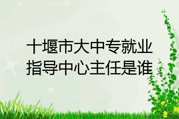 十堰市大中专就业指导中心主任是谁