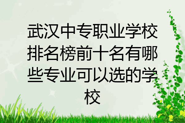 武汉中专职业学校排名榜前十名有哪些专业可以选的学校