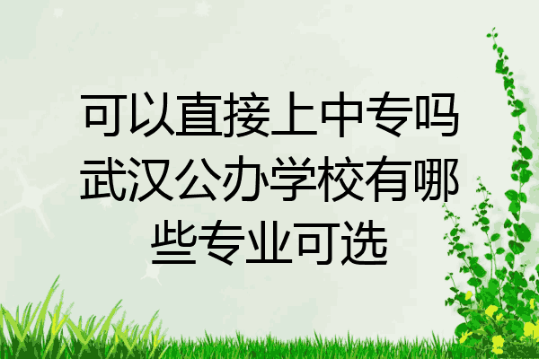可以直接上中专吗武汉公办学校有哪些专业可选