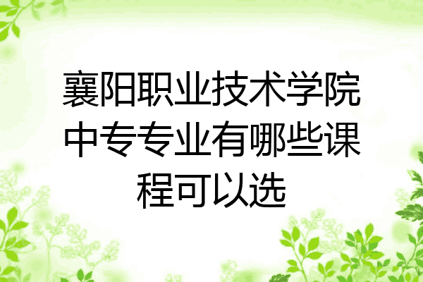 襄阳职业技术学院中专专业有哪些课程可以选