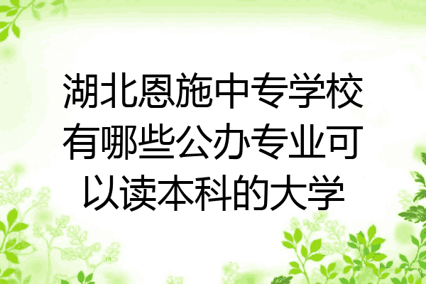 湖北恩施中专学校有哪些公办专业可以读本科的大学