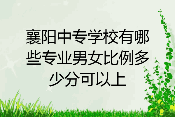 襄阳中专学校有哪些专业男女比例多少分可以上
