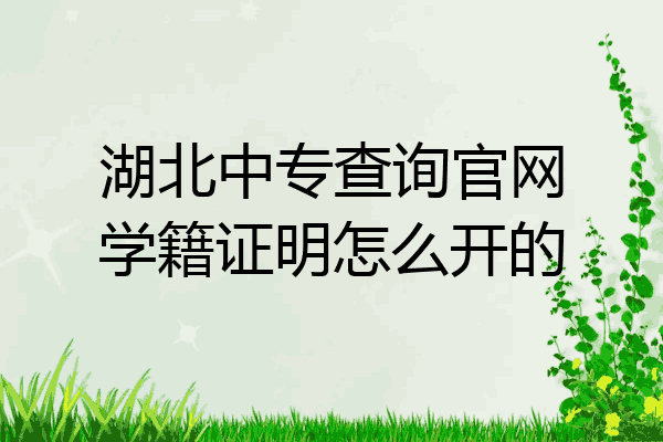 湖北中专查询官网学籍证明怎么开的
