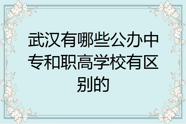 武汉有哪些公办中专和职高学校有区别的
