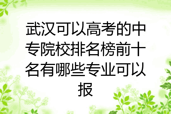 武汉可以高考的中专院校排名榜前十名有哪些专业可以报