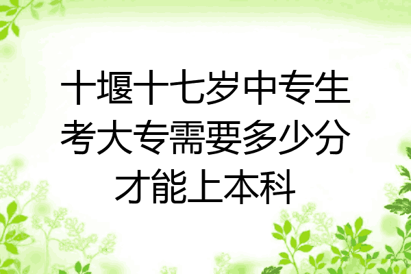 十堰十七岁中专生考大专需要多少分才能上本科