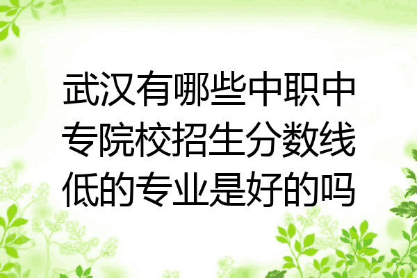 武汉有哪些中职中专院校招生分数线低的专业是好的吗