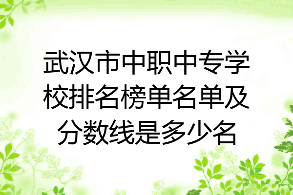 武汉市中职中专学校排名榜单名单及分数线是多少名