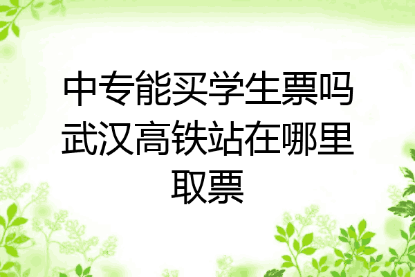 中专能买学生票吗武汉高铁站在哪里取票