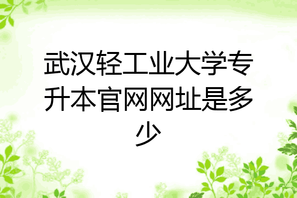 武汉轻工业大学专升本官网网址是多少