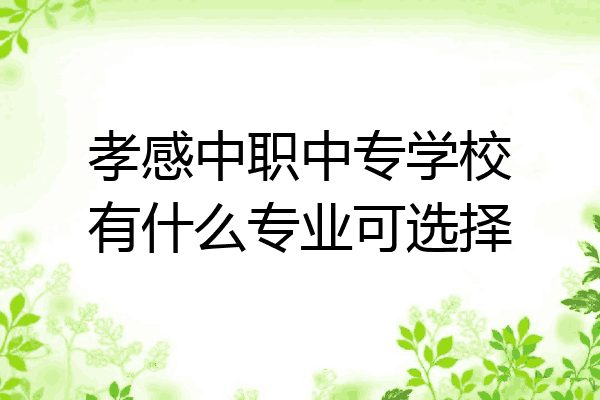 孝感中职中专学校有什么专业可选择